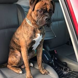 Meet your Posher, Shannon